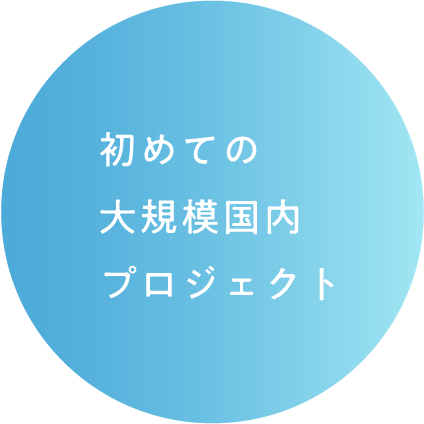 初めての大規模国内プロジェクト