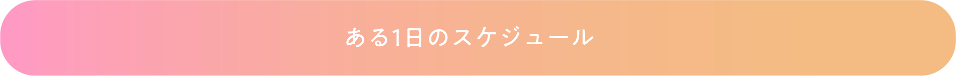 ある1日のスケジュール