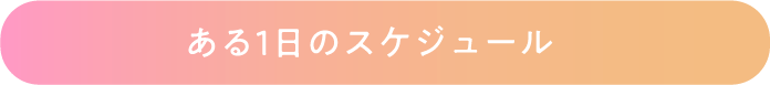 ある1日のスケジュール