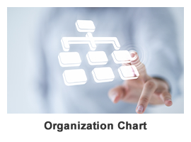 Organization Chart