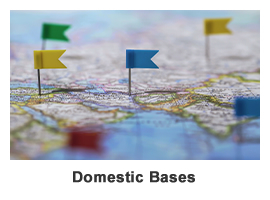 Domestic Bases